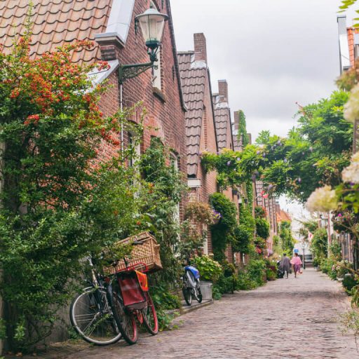 woonntaxaties-1-768x768